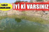 Buldan’ın Doğaseverleri Yaban Hayatına Sahip Çıkıyor...