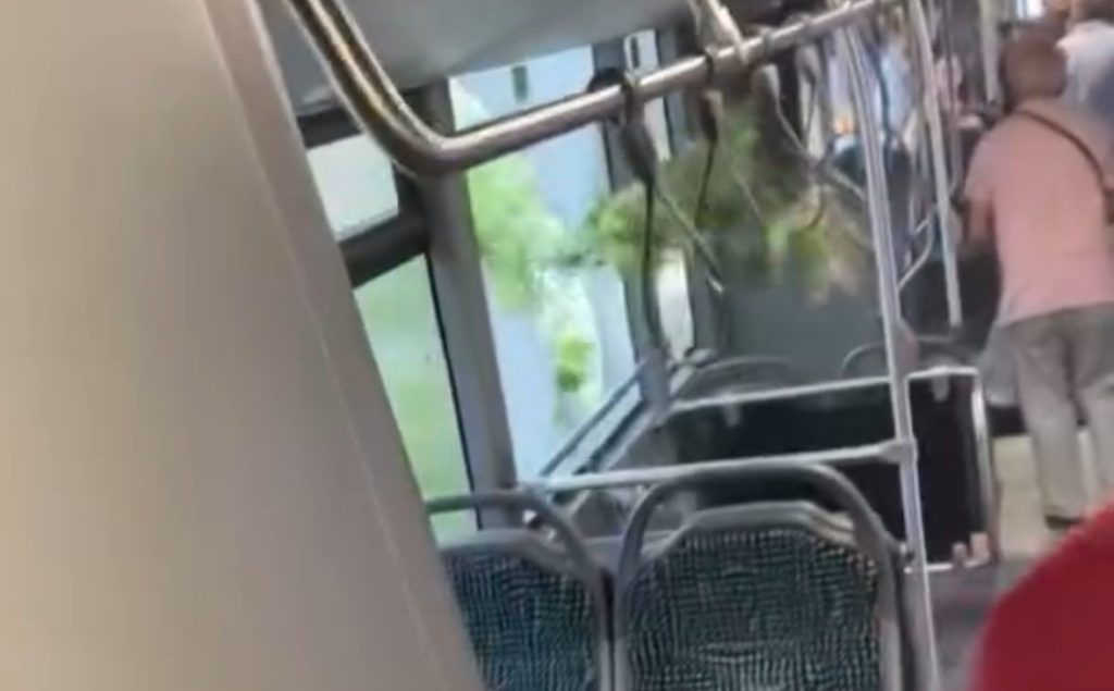 Denizli'de Alt Geçit Göle Döndü, Belediye Otobüsü Devrilen Ağacın Altında Kaldı... 