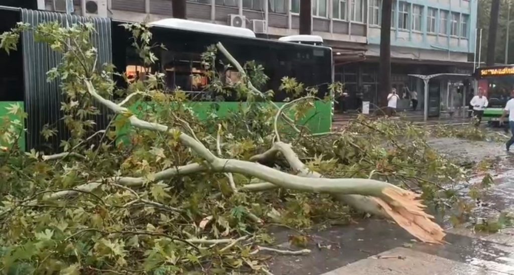 Denizli'de Alt Geçit Göle Döndü, Belediye Otobüsü Devrilen Ağacın Altında Kaldı...