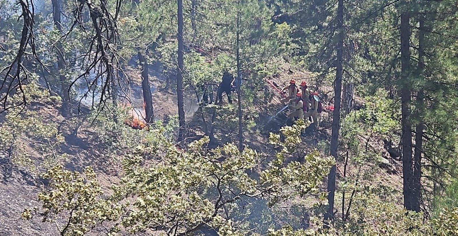 Honaz’da Orman Yangını Söndürüldü… 