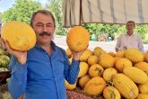 Milletvekili Tin Müjdeyi Verdi: Acıpayam Kavunu Tescillendi...