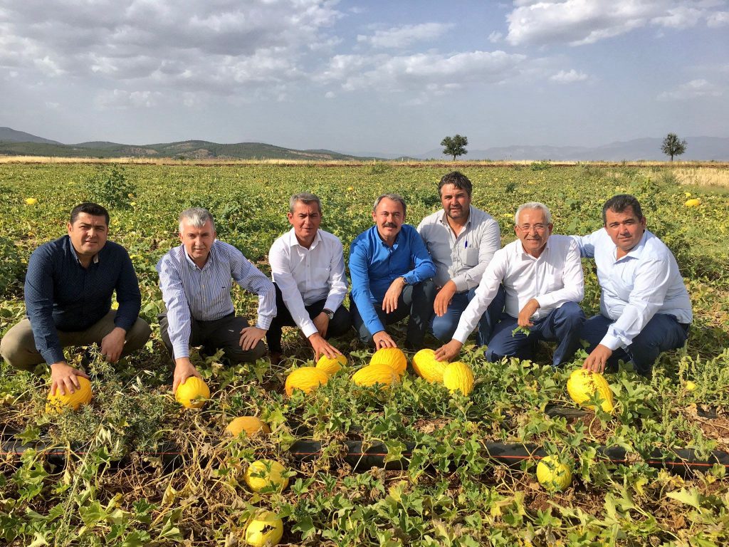 Milletvekili Tin Müjdeyi Verdi: Acıpayam Kavunu Tescillendi...