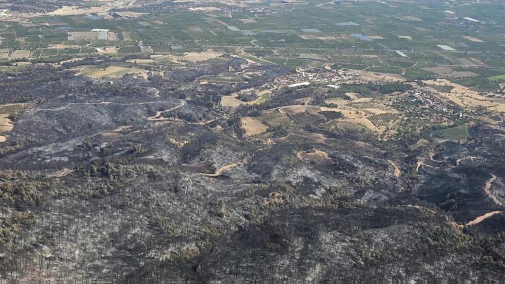 Denizli'nin Yanan Ormanlık Alanlarına 2. Milyon 500 Bin Adet Fidan Dikilecek...