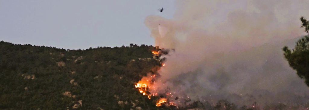Denizli'nin Yanan Ormanlık Alanlarına 2. Milyon 500 Bin Adet Fidan Dikilecek...