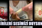 Denizli KYK Yurdu Öğrencilerinin Yemek Çilesi Devam Ediyor...