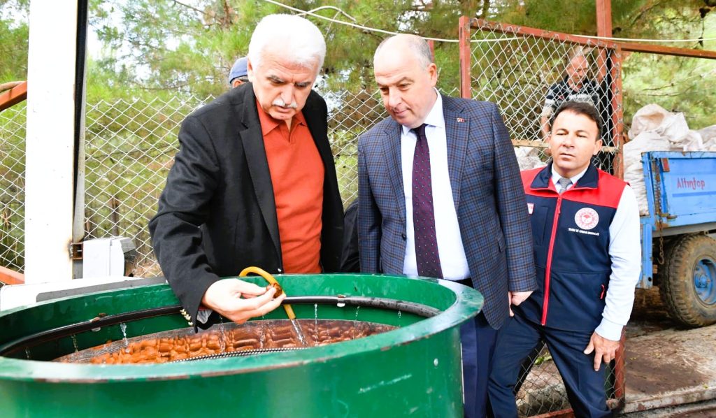 Denizli'de Ceviz Hasadının Startını Vali Coşkun Verdi...
