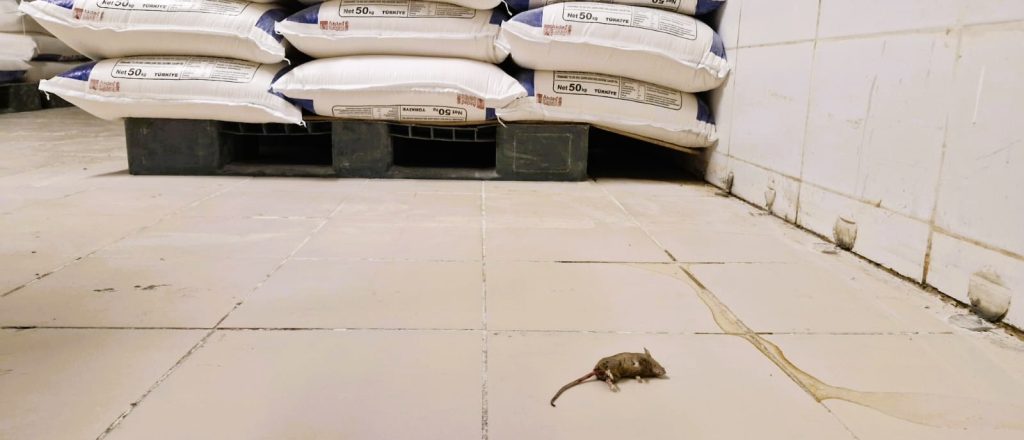 Denizli'de Halk Ekmek Fabrikası Kapatıldı, Tartışma Büyüdü...