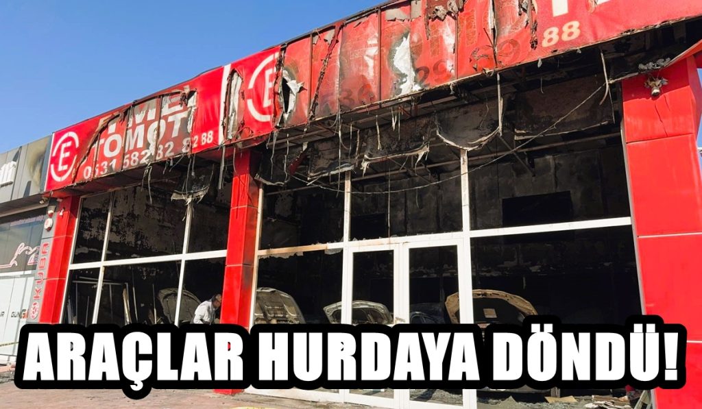 Denizli'de Cinayetten Tutuklanan Kişinin, Galerisi Kundaklandı...