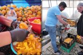 Honaz Belediyesi, Cips Projesiyle Üreticilere ve İlçeye Katkı Sağlayacak...