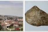 Denizli Baklan'da Milyonlarca Yıl Öncesine Ait Deniz Yıldızı Fosili Bulundu...
