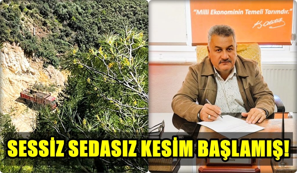 Buldan’daki Maden Sahası Ağaç Katliamı Cumhurbaşkanına Şikayet Edildi…