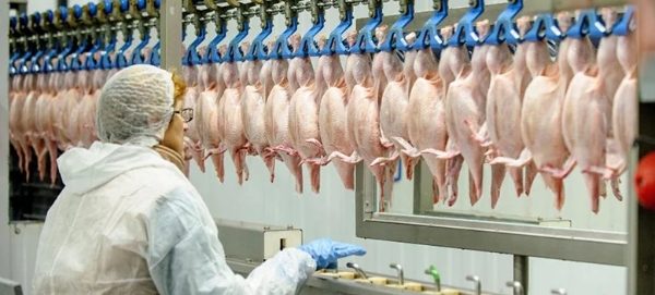 Beyaz Ete, Büyük Operasyon: İçlerinde Denizli Firması da Var