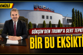 İş İnsanı Ahmet Gökşin 'Trump' Vergisine Tepki Gösterdi