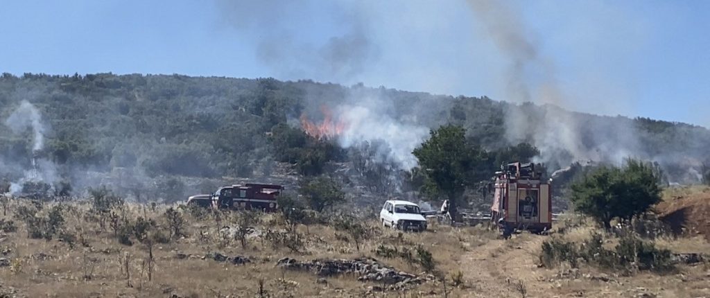 Arıcının Tütsüsü Ormanı Yaktı