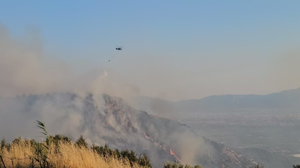 Pamukkale'de Kontrol Altına Yangın, Gece saatlerinde Yeniden Başladı...