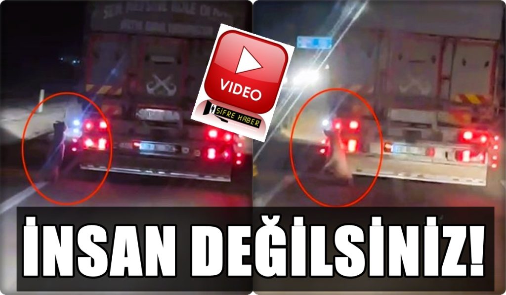 Denizli-Buldan Yolunda Dehşet: Köpeği Kamyonetin Arkasına Asarak Kilometrelerce Sürüklediler...