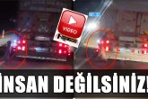 Denizli-Buldan Yolunda Dehşet: Köpeği Kamyonetin Arkasına Asarak Kilometrelerce Sürüklediler...