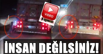 Denizli-Buldan Yolunda Dehşet: Köpeği Kamyonetin Arkasına Asarak Kilometrelerce Sürüklediler...