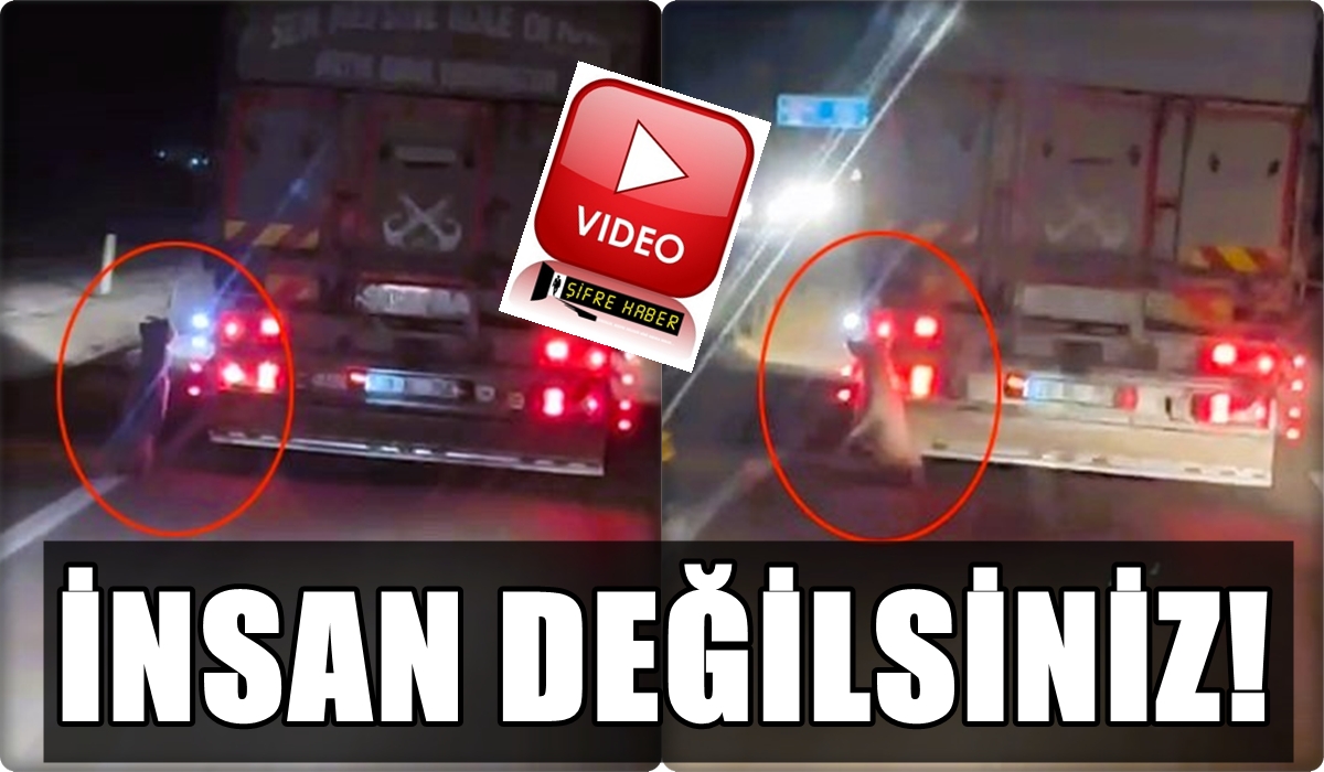 Denizli-Buldan Yolunda Köpeği Kamyonetin Arkasına Asarak Sürüklediler…