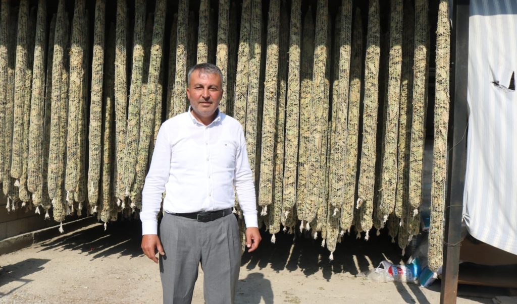 Çivril’de Elma Bahçeleri Tütün Tarlalarına Dönüşüyor