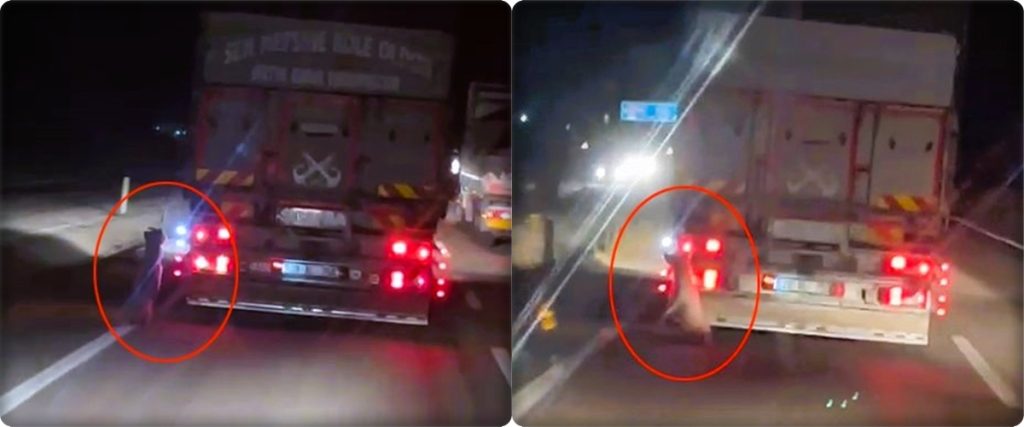 Denizli-Buldan Yolunda Dehşet: Köpeği Kamyonetin Arkasına Asarak Kilometrelerce Sürüklediler...