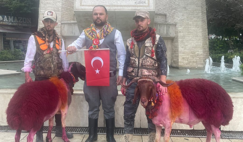 Denizli'de Koyunlar Sudan Önce Bulvardan Geçti