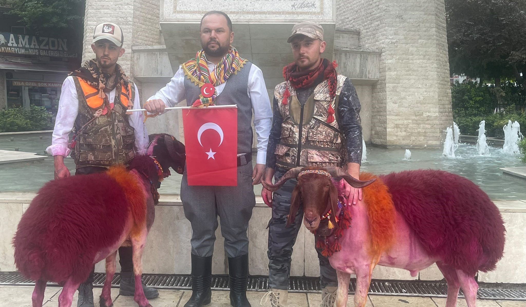 Denizli’de Koyunlar Sudan Önce Bulvardan Geçti