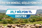 Denizli'nin Küçükbaş Hayvan Üreticilerine 25,7 Milyon Lira Destek Ödemesi Yapıldı...