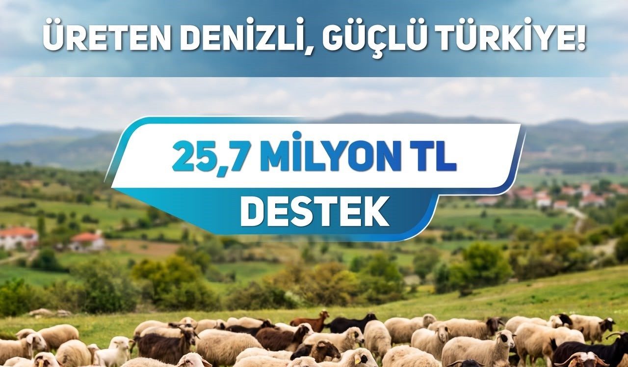 Denizli’nin Küçükbaş Hayvan Üreticilerine 25,7 Milyon Lira Destek Ödemesi Yapıldı…