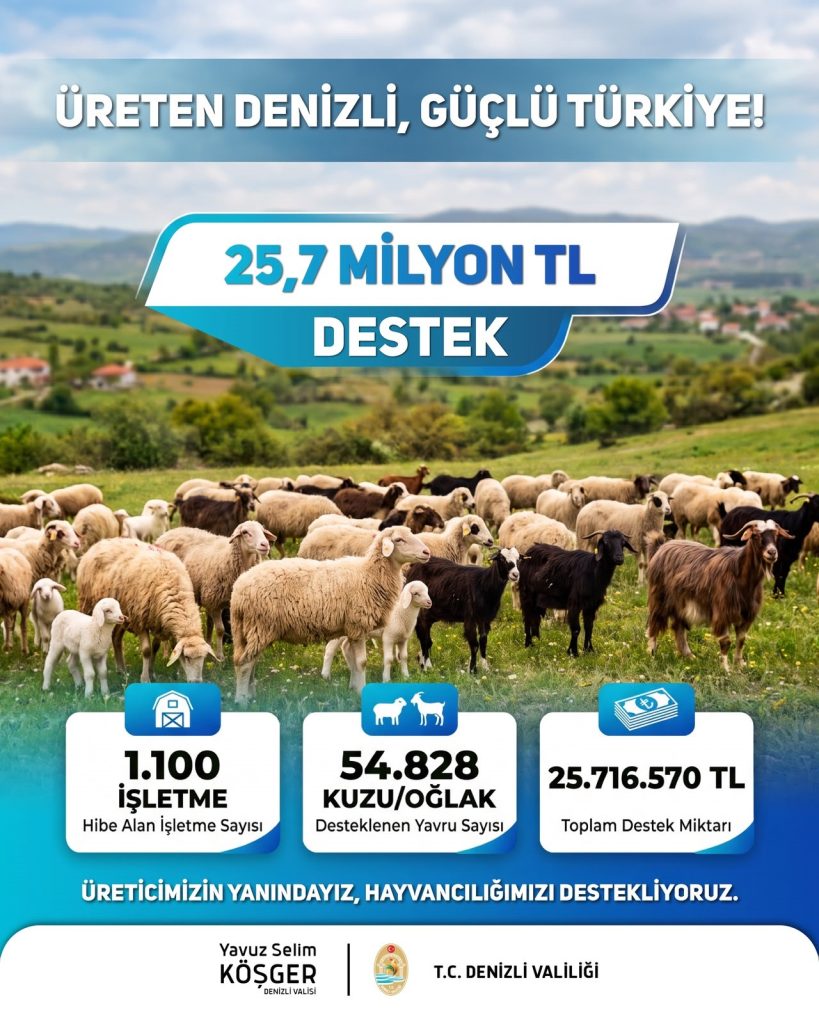 Denizli'nin Küçükbaş Hayvan Üreticilerine 25,7 Milyon Lira Destek Ödemesi Yapıldı...