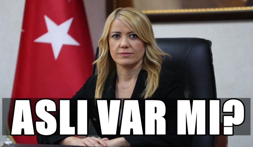Şifre Haber Bu İddiayı Araştırdı: Şeniz Doğan AK Parti’ye mi Geçiyor?